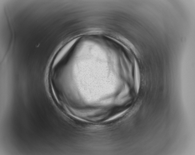 X0000101711475200807311442