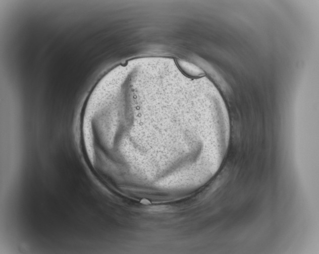 X0000101711479200807311442