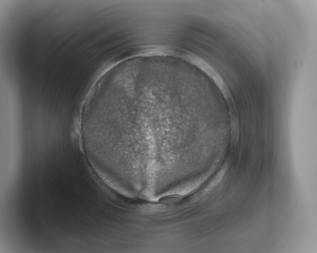 X0000101711481200807311442