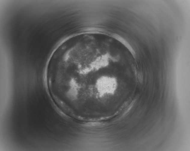 X0000101711482200807311442