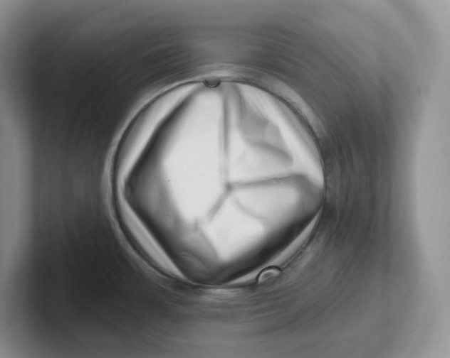 X0000101711483200807311442