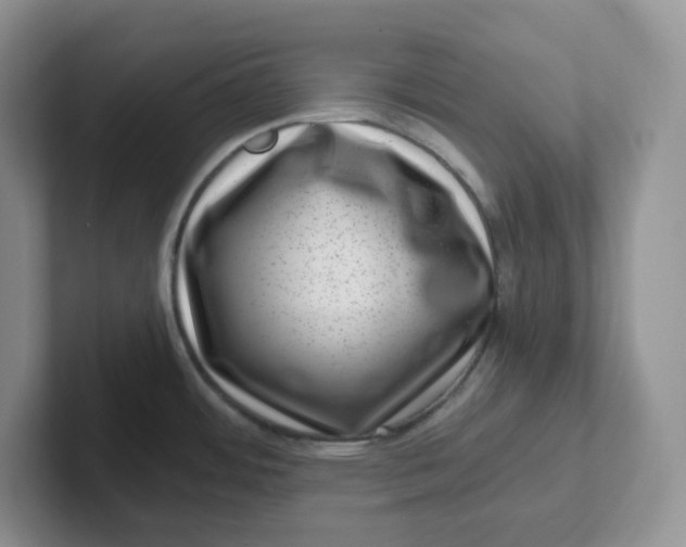 X0000101711484200807311442