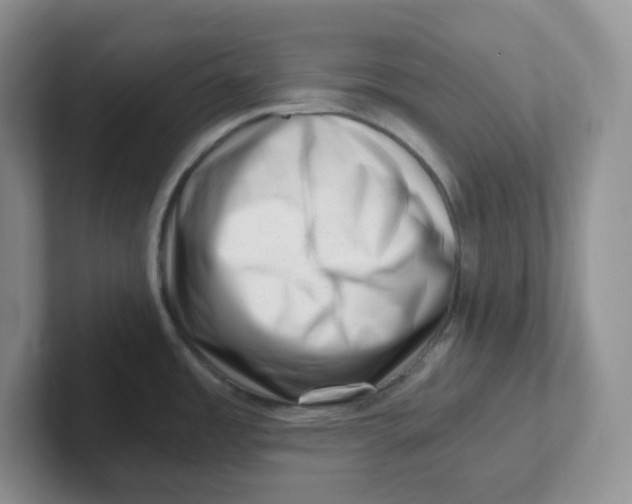 X0000101711485200807311442