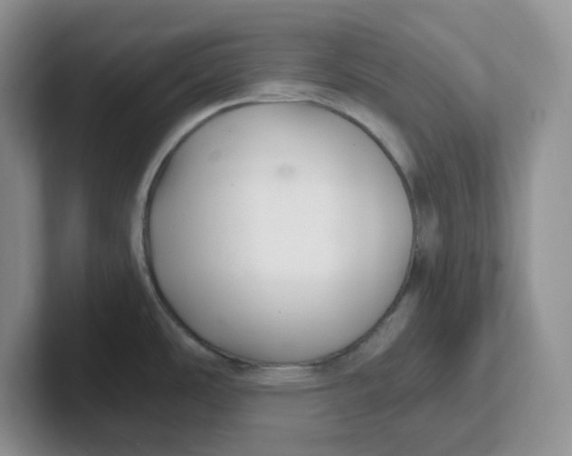 X0000101711486200807311442