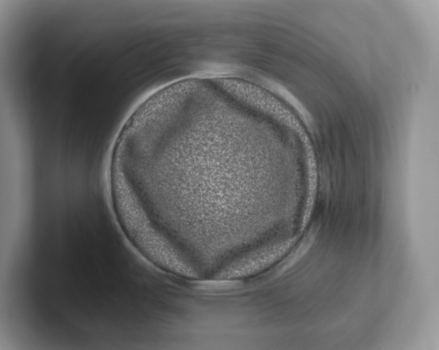 X0000101711487200807311442