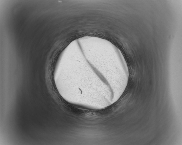 X0000101711489200807311441