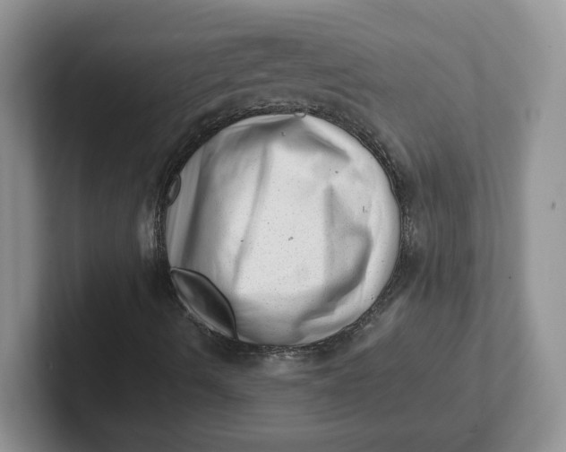 X0000101711490200807311441