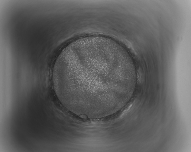 X0000101711494200807311441