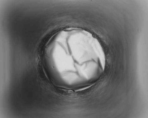 X0000101711495200807311441