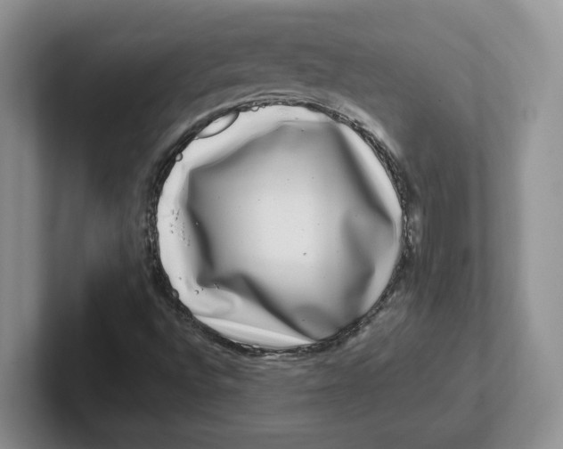 X0000101711496200807311441