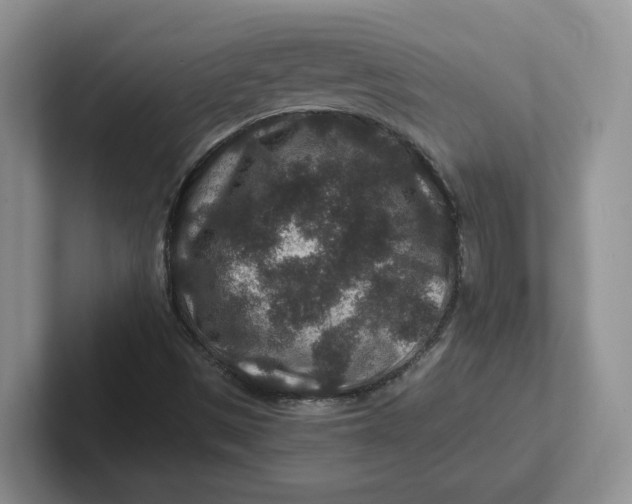 X0000101711497200807311441