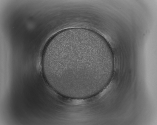 X0000101711498200807311441