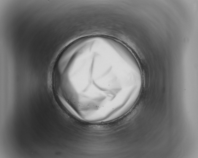 X0000101711500200807311441