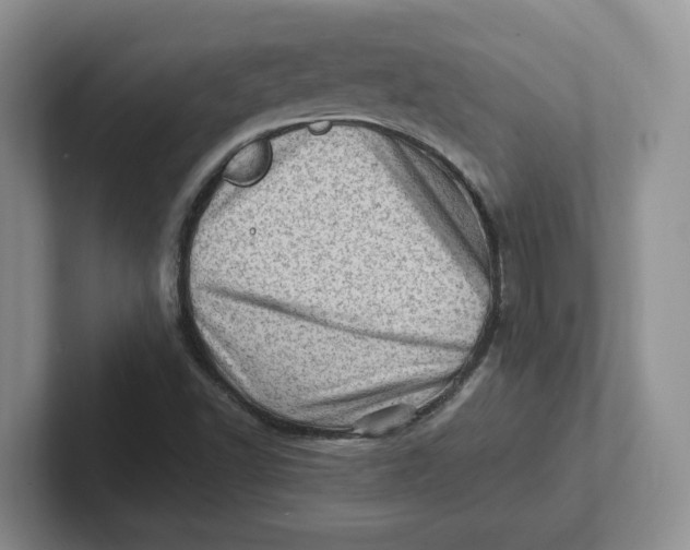 X0000101711502200807311441