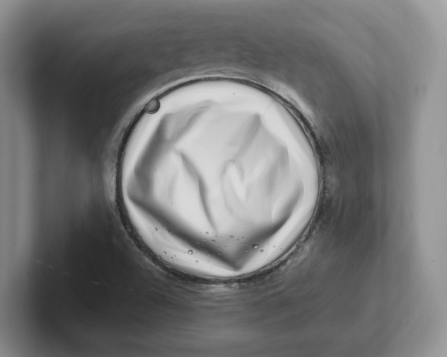 X0000101711504200807311441