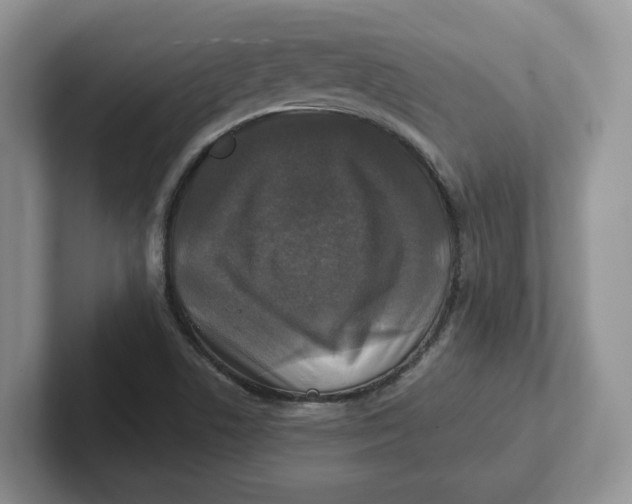 X0000101711506200807311441