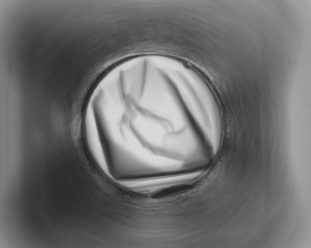 X0000101711507200807311441