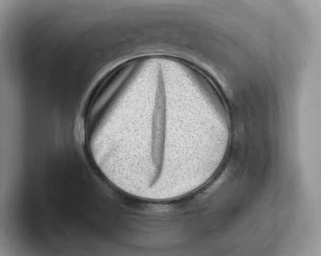 X0000101711509200807311441