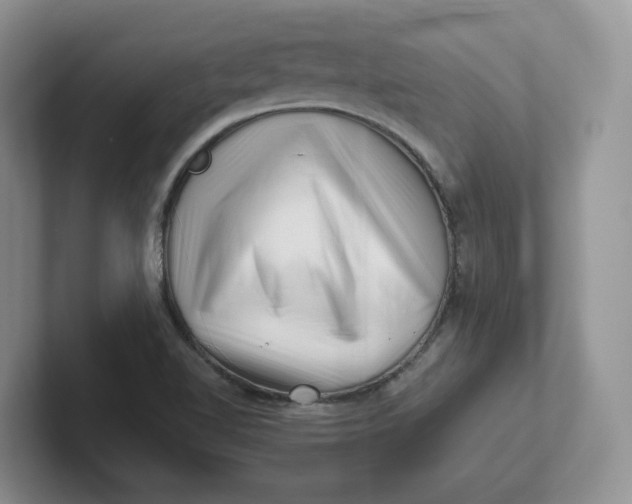 X0000101711510200807311441