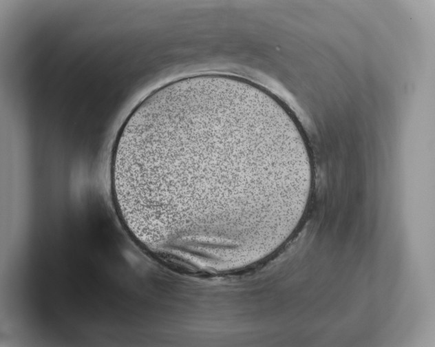 X0000101711512200807311441