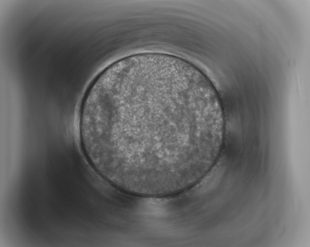 X0000101711514200807311441