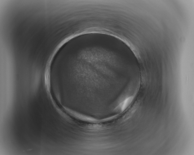 X0000101711515200807311441