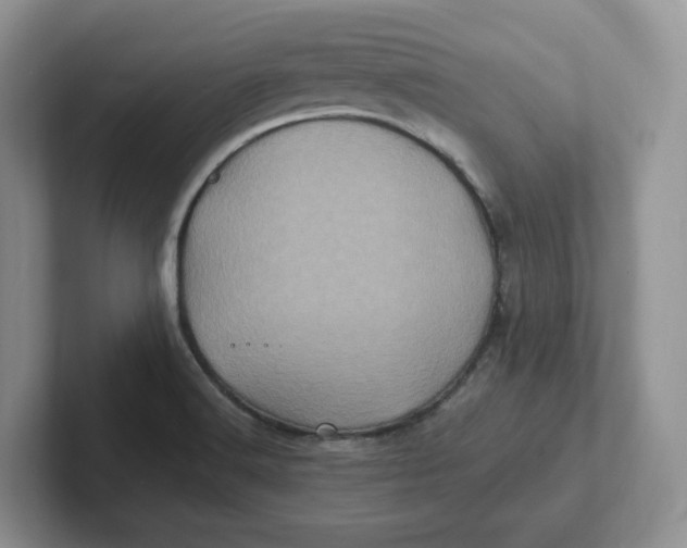 X0000101711516200807311441