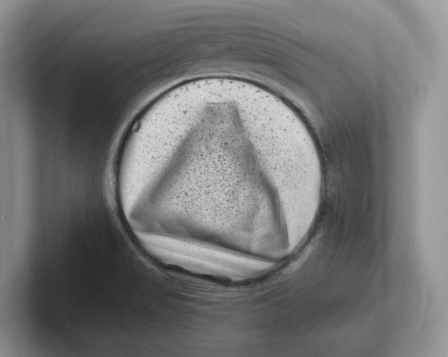 X0000101711517200807311441