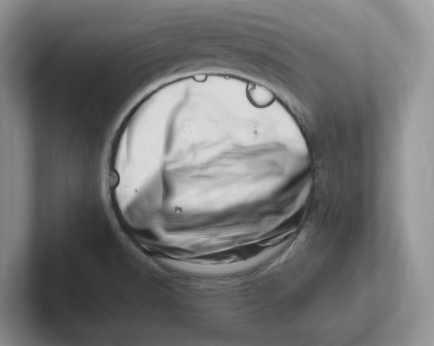 X0000101711518200807311441