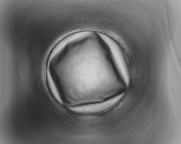 X0000101711520200807311441