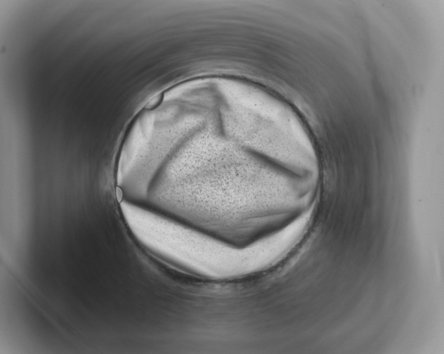 X0000101711521200807311441