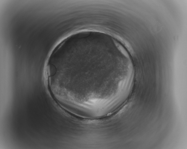 X0000101711522200807311441