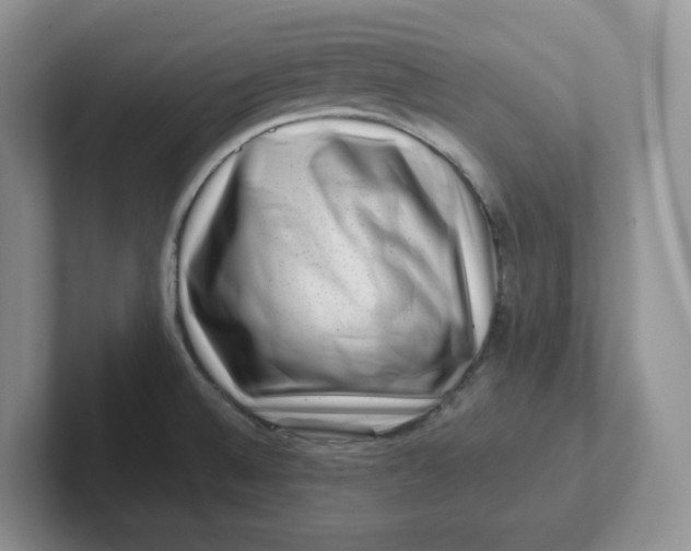 X0000101711524200807311441