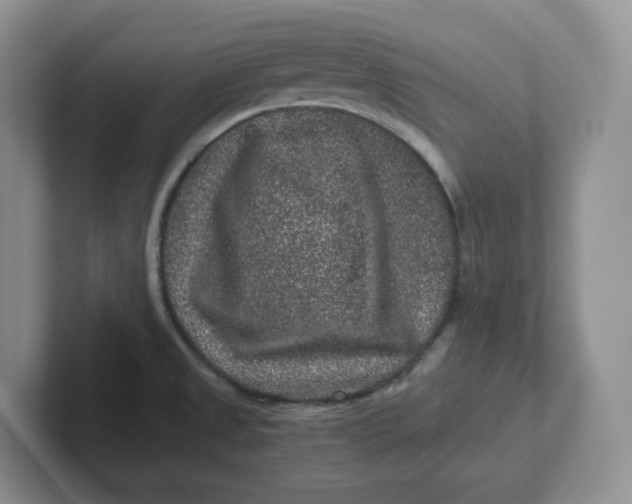 X0000101711525200807311442