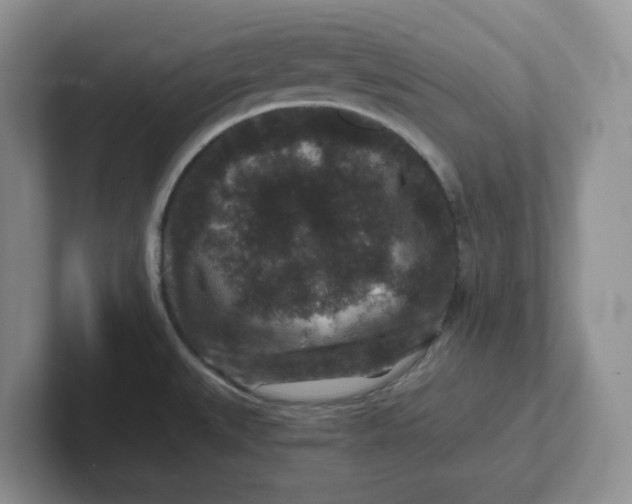 X0000101711527200807311442