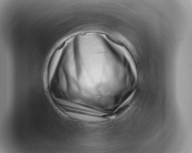 X0000101711528200807311442