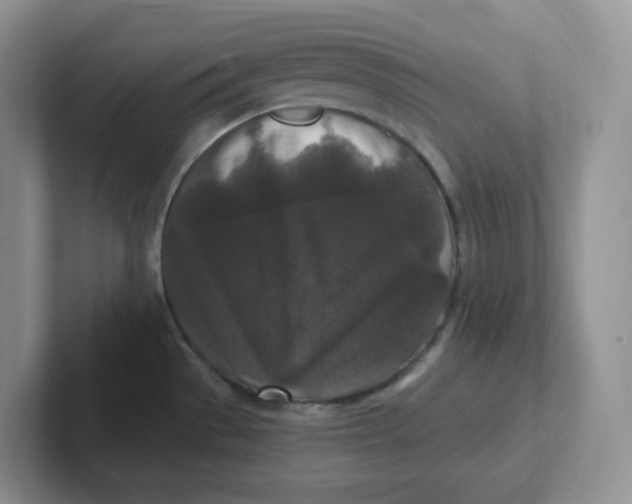 X0000101711529200807311442