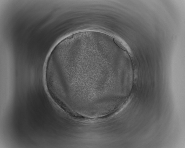 X0000101711530200807311442