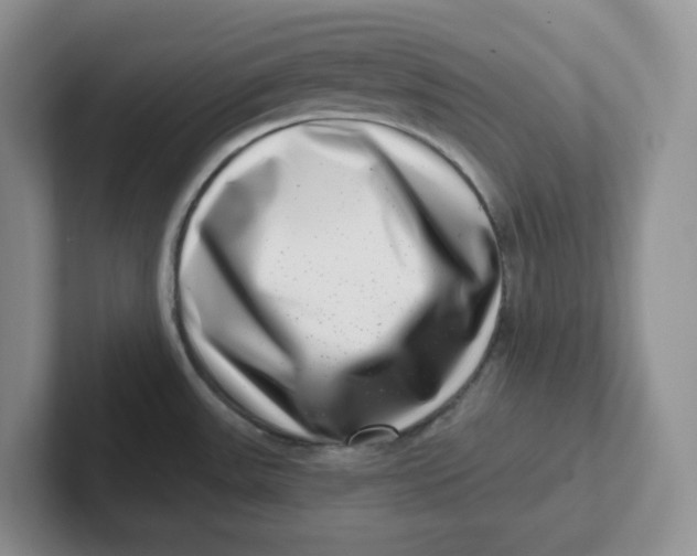 X0000101711531200807311442