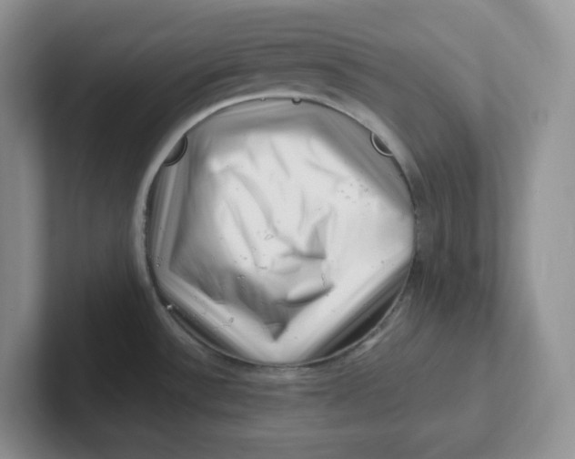 X0000101711532200807311442