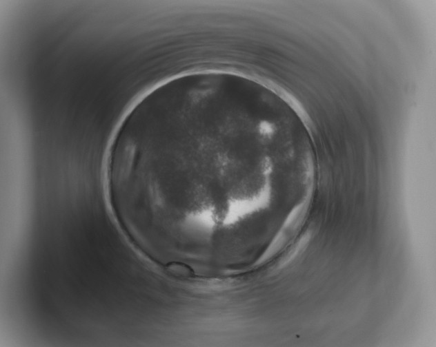 X0000101711533200807311442