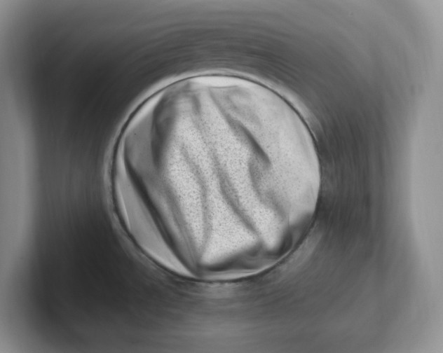 X0000101711534200807311442