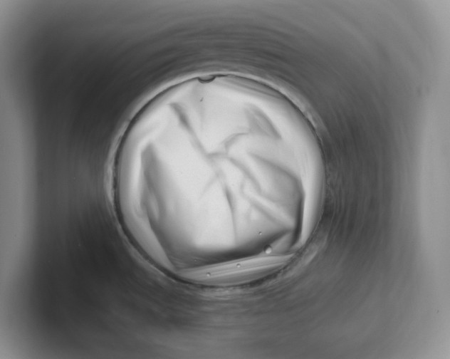 X0000101711535200807311442