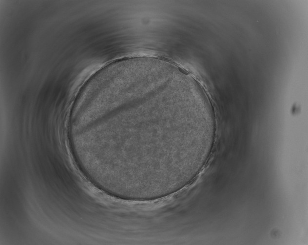 X0000101710001200808071234