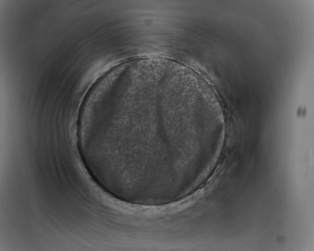 X0000101710002200808071234