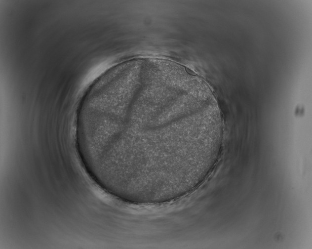 X0000101710005200808071234