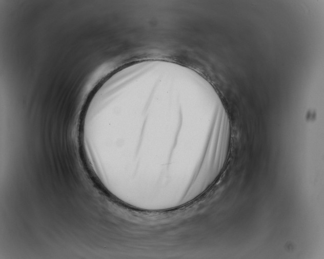 X0000101710006200808071234