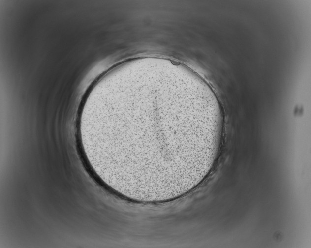X0000101710007200808071234