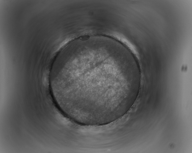 X0000101710009200808071234