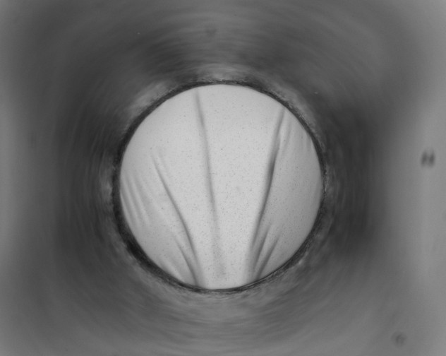 X0000101710010200808071234